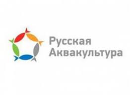 «Русская Аквакультура» утроила объемы продаж в 2019 году