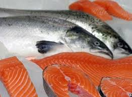 Спотовые цены на норвежский лосось подскочили на 8%