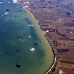 Рыбоводные участки Крыма разыграют на новогоднем аукционе