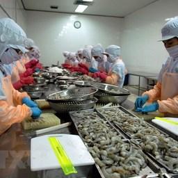 Экспорту вьетнамской креветки помог рынок США