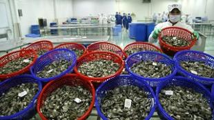 Вьетнам предложил ЕАЭС открыть рынок для вьетнамской рыбной продукции 