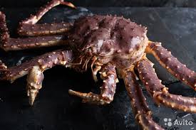 Норвежские поставки живого камчатского краба в США в январе достигли низкого уровня