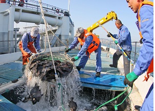 Китай ускорит строительство «морских ранчо»