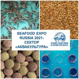 Аквакультура выступит единым блоком на Seafood Expo Russia