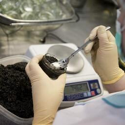 Аквафермерам Кубани вновь предлагают субсидии