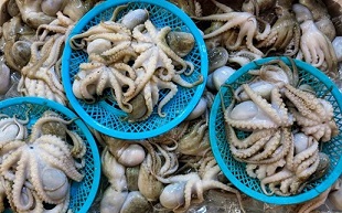 Вьетнам увеличивает производство в целях достижения экспорта рыбной продукции на 12 млрд долларов США