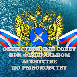 Общественный совет рассмотрел проект Декларации целей и задач Росрыболовства на 2019 год