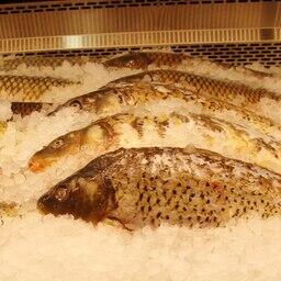 Торги: водоемы Нижнего Поволжья предлагают под аквафермы