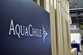 В лаборатории чилийского производителя AquaChile будут диагностировать коронавирус