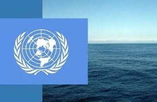 К договору об открытом море присоединились новые участники