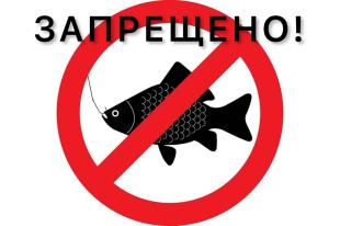 В Приморье запретили рыбалку на реках,  где нерестится красная рыба