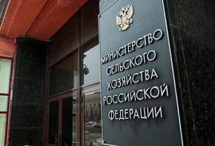 Комиссии по формированию границ РВУ: предлагаются изменения в полномочиях при голосовании
