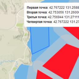 Новый РВУ в Приморском крае отправили на торги