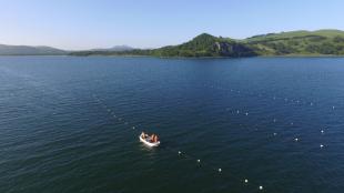 Катастрофическое снижение торгов в марикультуре: назрела необходимость расширения перечня доступных морских акваторий для аквакультуры