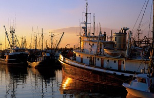 COVID-19 вызовет дальнейшие перебои с морепродуктами и в 2021 году