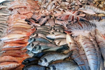 За последние 5 лет Россия существенно увеличила экспорт рыбы и морепродуктов