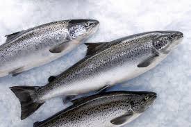 Согласно NASDAQ Salmon Index, спотовые цены на норвежскую выращенную семгу упали