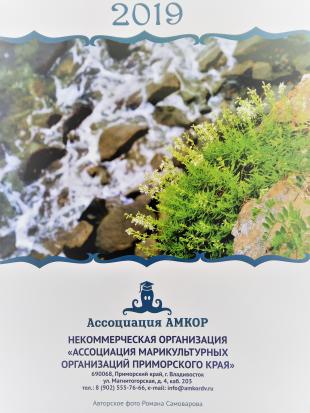 С Новым 2019 годом!