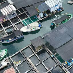 Китай поможет Бахрейну развивать аквакультуру