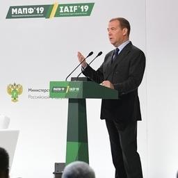 Руководство страны вновь отметило успехи рыбного экспорта