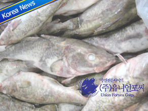 Россия обеспечивает почти все импортные поставки трески в Корею 