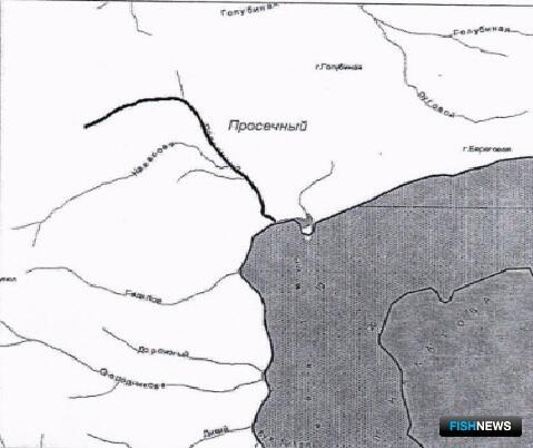 Рыбоводный участок выставили на торги в Хабаровском крае
