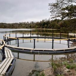 Торги: РВУ на Нижнетуломском водохранилище передадут в пользование