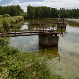 Лесным аквафермерам прописали права и обязанности