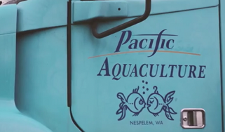 Университет Мэриленда сотрудничает с Pacific Seafood по улучшению качества аквакультуры радужной форели