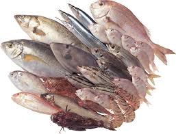 Норвежский экспорт морепродуктов в январе 2020 года