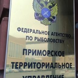Для осуществления рыбоводства в Приморье на торги выставлено несколько озёр