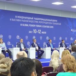 Глава Росрыболовства предложил подумать о снятии ограничений для иностранных инвесторов