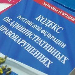 Новый КоАП представили для обсуждения