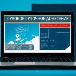 «Эскиз» законопроекта об ЭПЖ выложили в интернет
