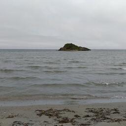 Запретные для плавания зоны готовятся ввести в Дальневосточном морском заповеднике