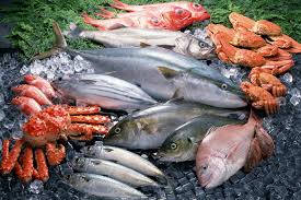 Новый год для Норвегии начался с роста экспорта морепродуктов
