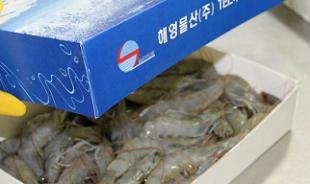 Цены на креветки из Эквадора в Китае остаются стабильными на 5-й неделе