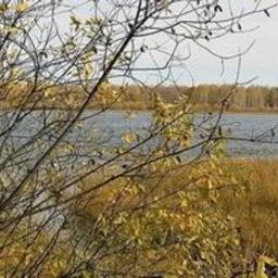 Пруды Тюменской области принесли богатые «урожаи»