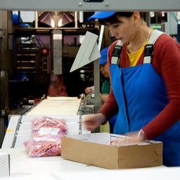 Экспорт продукции АПК поддержат субсидиями