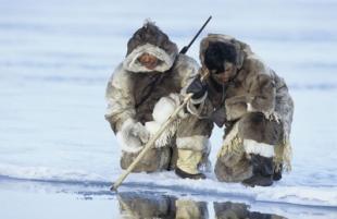КМНС Хабаровского края потребовали пересмотреть распределение квот на рыбу