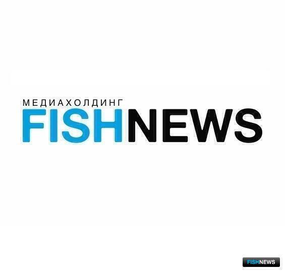 Что сильнее всего давило на бизнес в этом году, рассказали читатели Fishnews