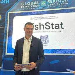 Создатели FishStat'а рассказали о возможностях и будущем платформы