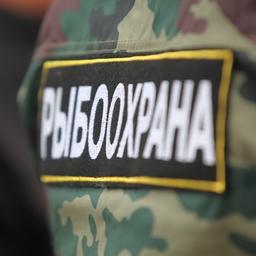 Инспекторам Росрыболовства добавят полномочий