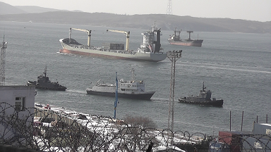 Антикоррупционная прополка в Российском морском регистре на ДВ продолжается
