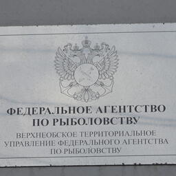 Торги: два озера на Алтае разыграют среди рыбоводов
