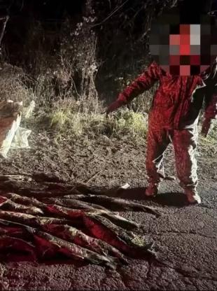 Приморье. МВД Медиа информирует