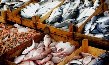 Изменения в критериях качества рыбной продукции
