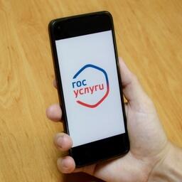 Для госуслуг в сфере рыболовства назначили кураторов